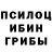 Псилоцибиновые грибы ЛСД Eva Pirlii