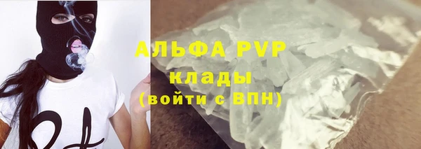 стаф Абинск