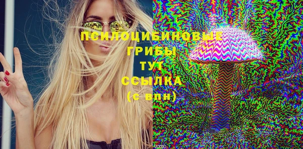 стаф Абинск