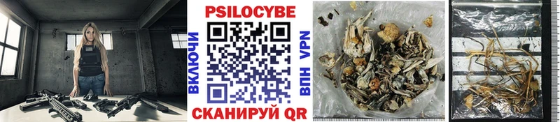 Псилоцибиновые грибы мухоморы  Тбилисская 